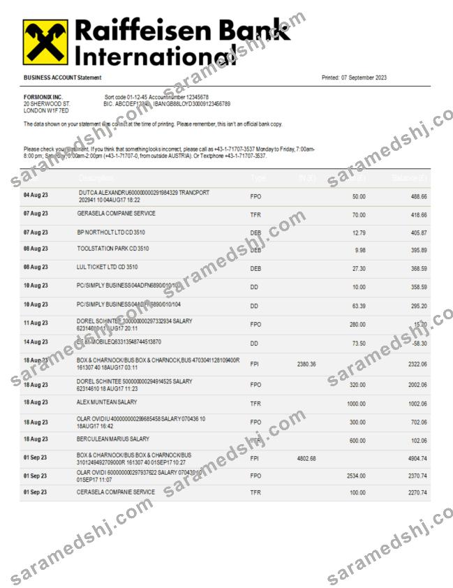 Raiffeisen Bank International Bank International company statement Word and PDF template